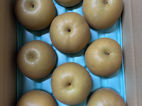 【間も無く終了】モーツァルト聞いて育った梨 あきづき 5kg