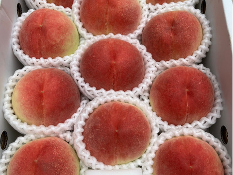 GP3【ご贈答用】8月の桃・3kg