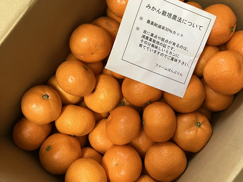 【蔵出しみかん】数量限定「小粒4kg」和歌山下津産(冷蔵便)