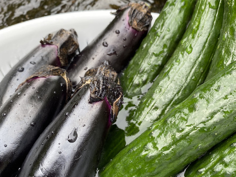 期間限定　夏の高原きゅうり1キロ&ナス1キロセット　2キロ　夏野菜　朝採り　なす　茄子(kyuri&nasu)