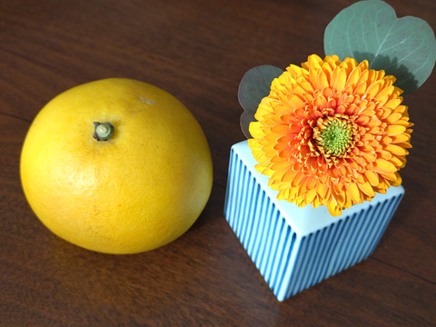 ハウス栽培！「不知火」
～家庭用個包装3㌔～　　　合計12個前後