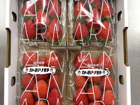 【即日発送】かおり野＋紅ほっぺの食べ比べ8パックセット