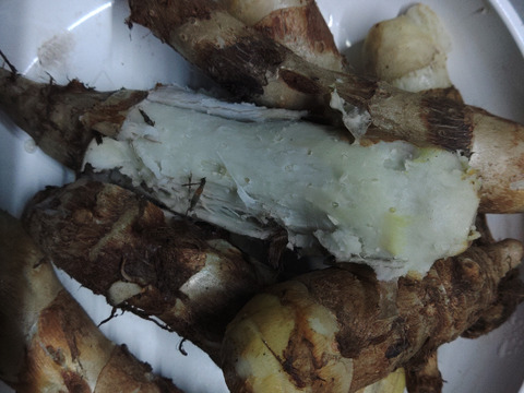 甘味が増した、ホクホクしっとり！小芋訳アリはね出しタケノコ芋(京芋)2.3Kg