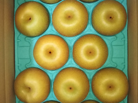 幸水呉羽梨玉数お任せ家庭用