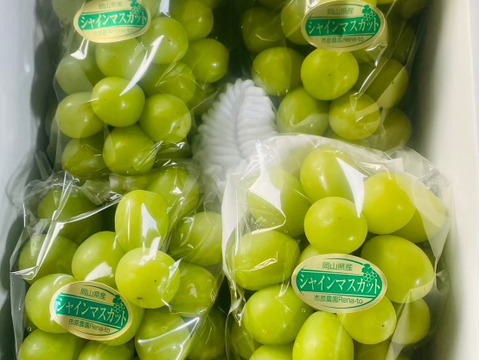岡山県産 シャインマスカット 3房 1.9〜2kg 岡山県産✨シャインマスカット🍇訳ありたっぷり2kg🎶（房数未定