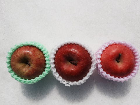 ☆3種の《ふじ》【食べ比べ】☆農薬不使用りんご入り☆3キロ（８〜１２玉）