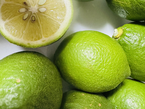 甘酸っぱい　グリーンレモン1ｋｇ　和歌山県産　ユーレカ【防腐剤・ワックス不使用】