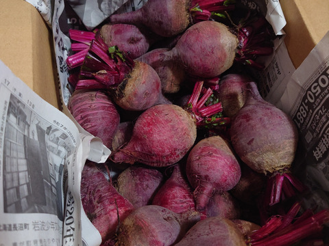 ​毎日スムージー！生ビーツ3kg｜道の駅でも大人気✨️農家直送ならではの鮮度と甘み♥️