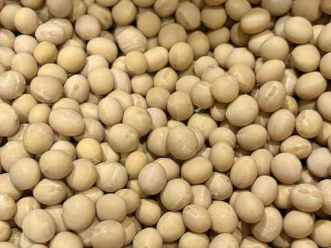 【北海道産】農薬･化学肥料･除草剤不使用‼️濃厚で美味🌟希少品種『鶴の子大豆』‼️400g✉メール便