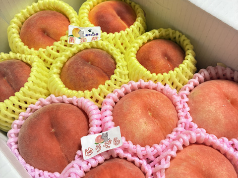 お買い得!まるせい果樹園の桃　黄桃と晩生種の詰め合わせ【おまかせ】2kg(6～11玉入り)自家用　贈答用  mix2