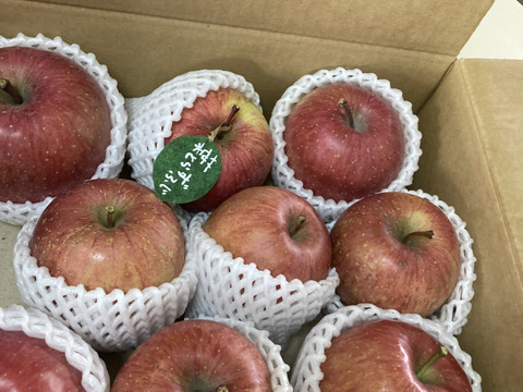 先行予約🍎【食べチョク限定価格】🍎3キロ 幸せの完熟葉取らずふじ 9~12玉　家庭用 青森りんご リンゴ