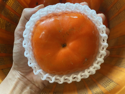 幻の早生柿3種類　食べ比べセット(家庭用3キロ)