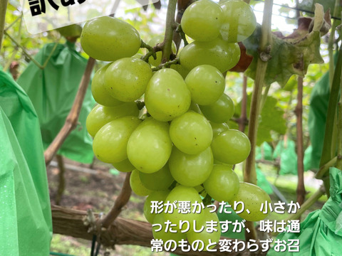 ☆訳あり☆　シャインマスカット2㎏【4～8房】