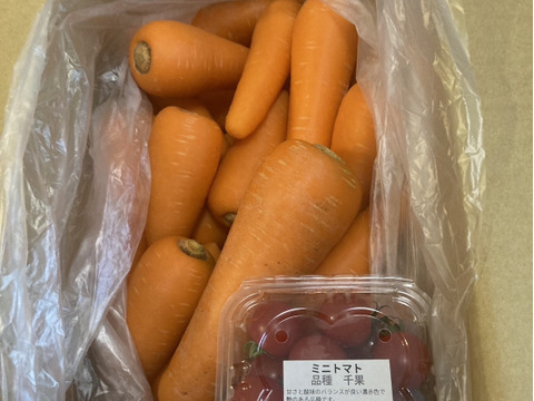 豊かな大地で育った人参(5kg) 農薬化学肥料不使用  旬のお野菜1品オマケ付き