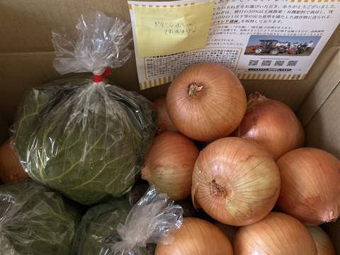 【今だけ！数量限定】大人気♪グリーンボール２玉と特別栽培淡路島玉ねぎ5キロ