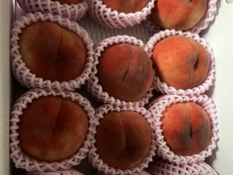 まどか　8～14玉　8月中旬発送　珍しい桃　【ASIAGAP認証農場：津軽農園】　安心・安全な桃　収穫した日に発送　家庭用　農家直送