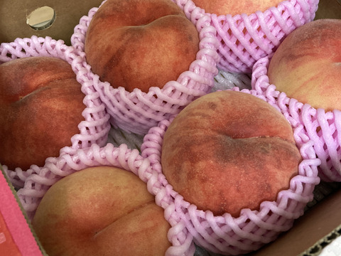 🍑【2025年8月下旬桃】1.5kg　5玉前後【ASIAGAP認証農場：津軽農園】　　安心・安全な桃　収穫した日に発送　家庭用　農家直送【朝どれ】