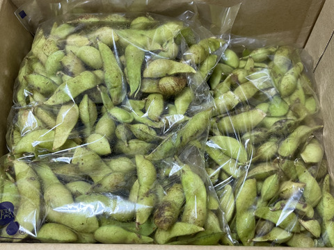 【訳あり】 兵庫県丹波篠山産 丹波黒豆 5kg 令和６年産 丹波篠山産 黒大豆 - 阪本屋公式ネットショップ