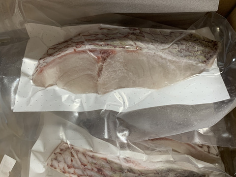 ふっくら肉厚‼︎真鯛の切り身2切れ入り×4パック《Firesh®︎》【単品商品】