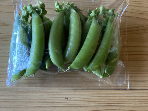 おべじの小さな畑便 ≪初夏のサラダ野菜セット≫