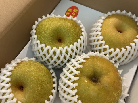 幸水梨 ①】甘い‼️まるで梨ジュース💦贈答用約2.2kg(大玉4~6個