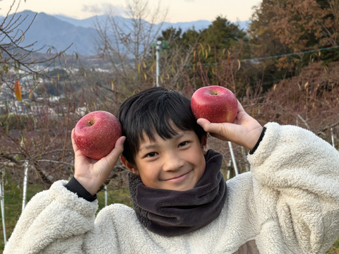 【冬ギフト】サンふじ 5kg 13~14玉