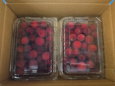 ★訳あり品　4キロ　お買い得　自然栽培　ヤマモモ　秀峰　秀光　チルド便