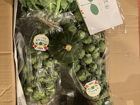 【予約増量(^^♪】〜え？1株に実が30粒以上なの？〜"株ごと芽キャベツ"　おうちで収穫体験！(2株)＋おまけ野菜1つ　　from 名水の里　神奈川県秦野市