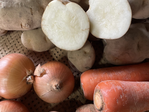 Ｊ-GAP認証農園【北海道羊蹄産】旬の野菜3種セット