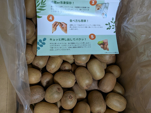 幻の一口キウイ！『さぬきキウイっこ®』訳あり・ご家庭用・5kg（７０～１００個）