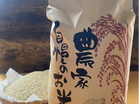 新米】令和8年魚沼産コシヒカリ玄米10kg：新潟県産の加工品｜食べ