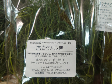 【★生で食べるおかひじき！！★】おかひじき（40ｇ×10袋）水にさらしてあく抜きは必要です。