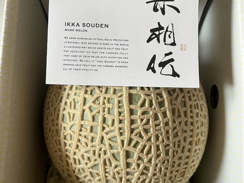 「良品」1玉箱入り高糖度マスクメロン