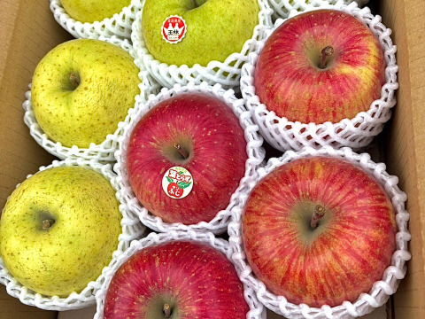 【贈答用】数量限定青森県産りんご 葉取らずふじ・王林3kg