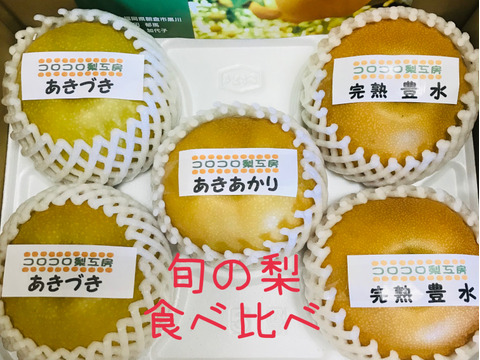 【旬の梨食べ比べ‼️3～5品種】何が届くかお楽しみ😋贈答用2.5kg以上、豊水・あきづき・かおり・あきあかり・二十世紀・南水・にっこり・新高・王秋・新興・愛宕の中から3品種以上詰め合わせます‼️