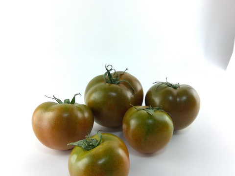 果肉たっぷり！中玉トマト「クマト」(800グラム)