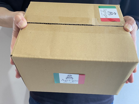 【京都の夏物語】アグリ―ジョの夏の定番野菜３品（約2kg）