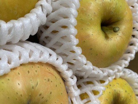 赤果肉りんご　きらめき✨