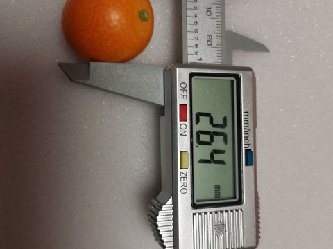 一口タイプ、果実の果径2.5センチ前後(Mクラス）