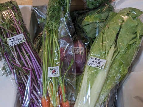 【自然栽培🍀80サイズ】朝採り新鮮！旬菜セットM（３〜５人様向け）