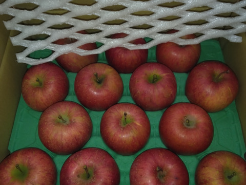 【販売中！人気商品】青森県産りんご「サンふじ」家庭用 キズ有 約5kg【美味・光センサー選果済】