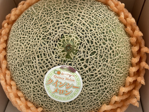 2024茨城メロン品評会グランプリ受賞👑クインシーメロン(5L特大1個入り)