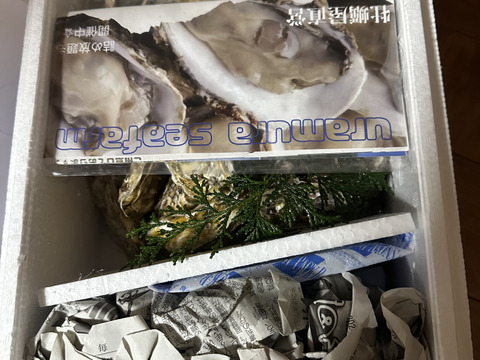 【生牡蠣】【生食用】【贈り物にも】
三重県産 浦村かき むき身500g＋殻付き20個 1箱セット（約2.7kg前後）（5～6人前）
直送 母の日 父の日【冬ギフト】【生で食べれる美味い牡蠣】