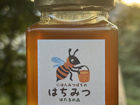 日本ミツバチ 蜂蜜 令和7年度 採れたて　たれ蜜　2年もの1200g 非加熱 日本ミツバチ 蜂蜜 令和7年度 採れたて たれ蜜 2年もの1200g