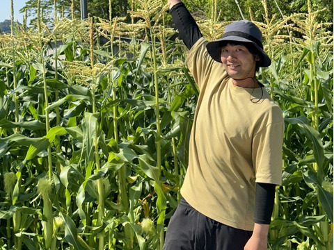 朝穫れ！プリあま大粒とうもろこし【農薬化学肥料不使用】2キロ6本