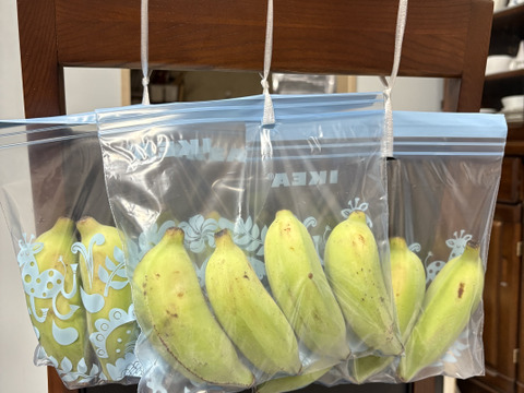 特別価格！】沖縄産ナムワバナナ1kg：沖縄県産のその他バナナ
