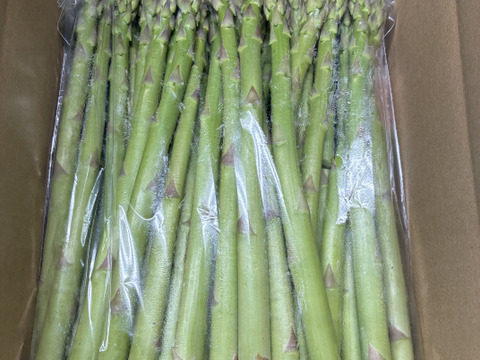 島根県出雲市産アスパラガスLサイズ1ｋｇ