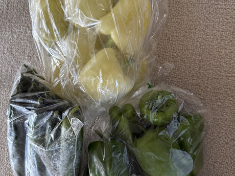 緑の力！夏バテさらば＊ピーマン30個～農薬/化学肥料・不使用