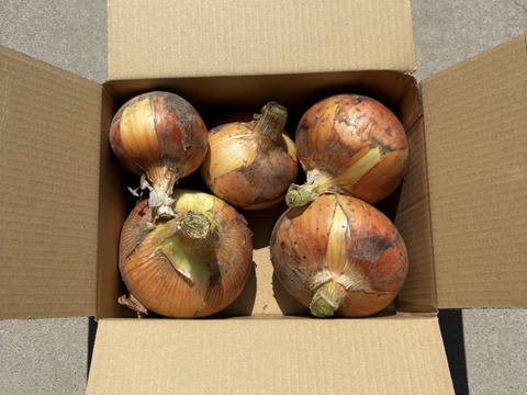 🉐【自然栽培】特大玉ねぎ2.5kg