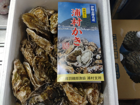 【BBQに牡蠣！】【生牡蠣】【生食用】三重県産 殻付き 浦村かき
S～Mサイズ 30個入り 2.5Kg (3～6人前）
牡蠣 貝類 海鮮 バーベキュー【母の日ギフト】【生で食べれる美味い牡蠣】